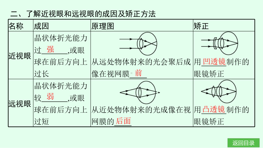 5.4爱眼宣传公益行 课件 北师大版（2024）物理八年级上册.pptx_第3页