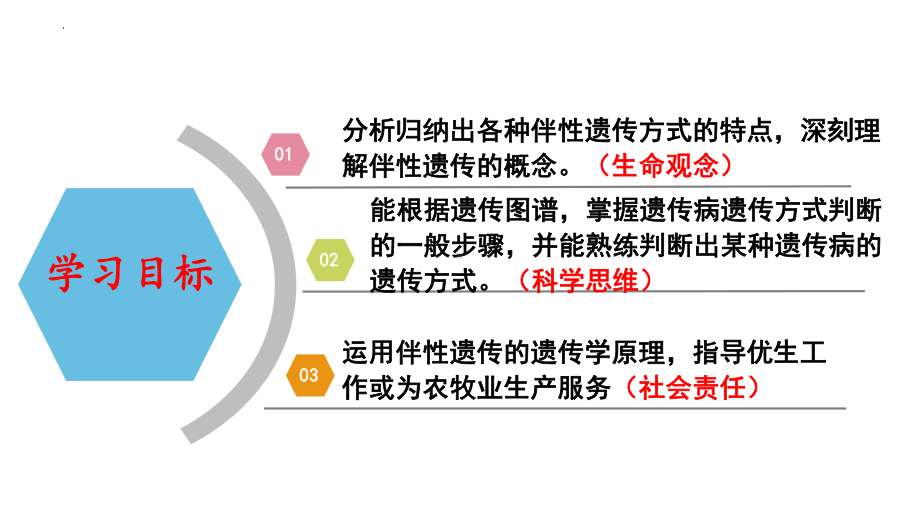 2.3伴性遗传课件-2023-2024学年高一下学期生物人教版必修2.pptx_第2页