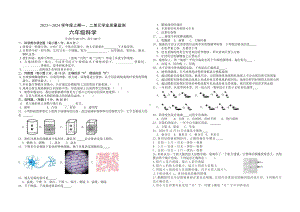 期中测试卷（试题） 六年级上册科学教科版.docx