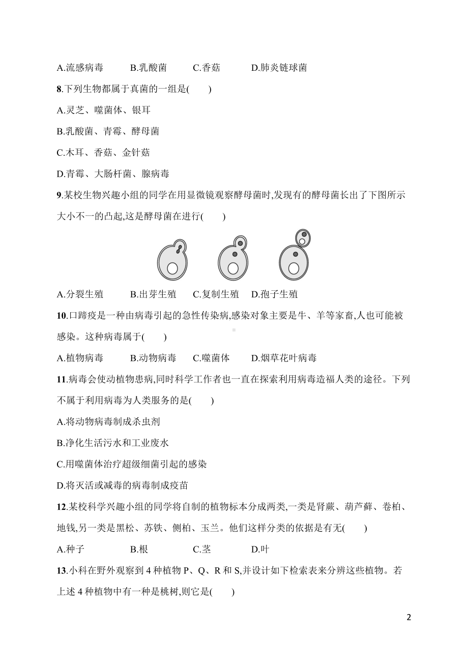 人教版（2024）生物七年级上册 第二单元 多种多样的生物 第三、四章综合训练.docx_第2页