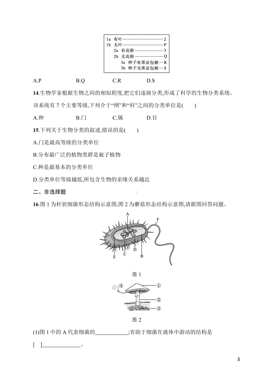 人教版（2024）生物七年级上册 第二单元 多种多样的生物 第三、四章综合训练.docx_第3页