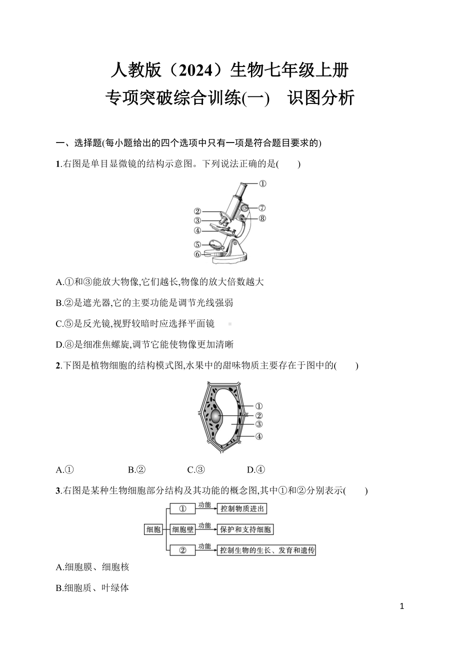 人教版（2024）生物七年级上册专项突破综合训练(一)　识图分析.docx_第1页