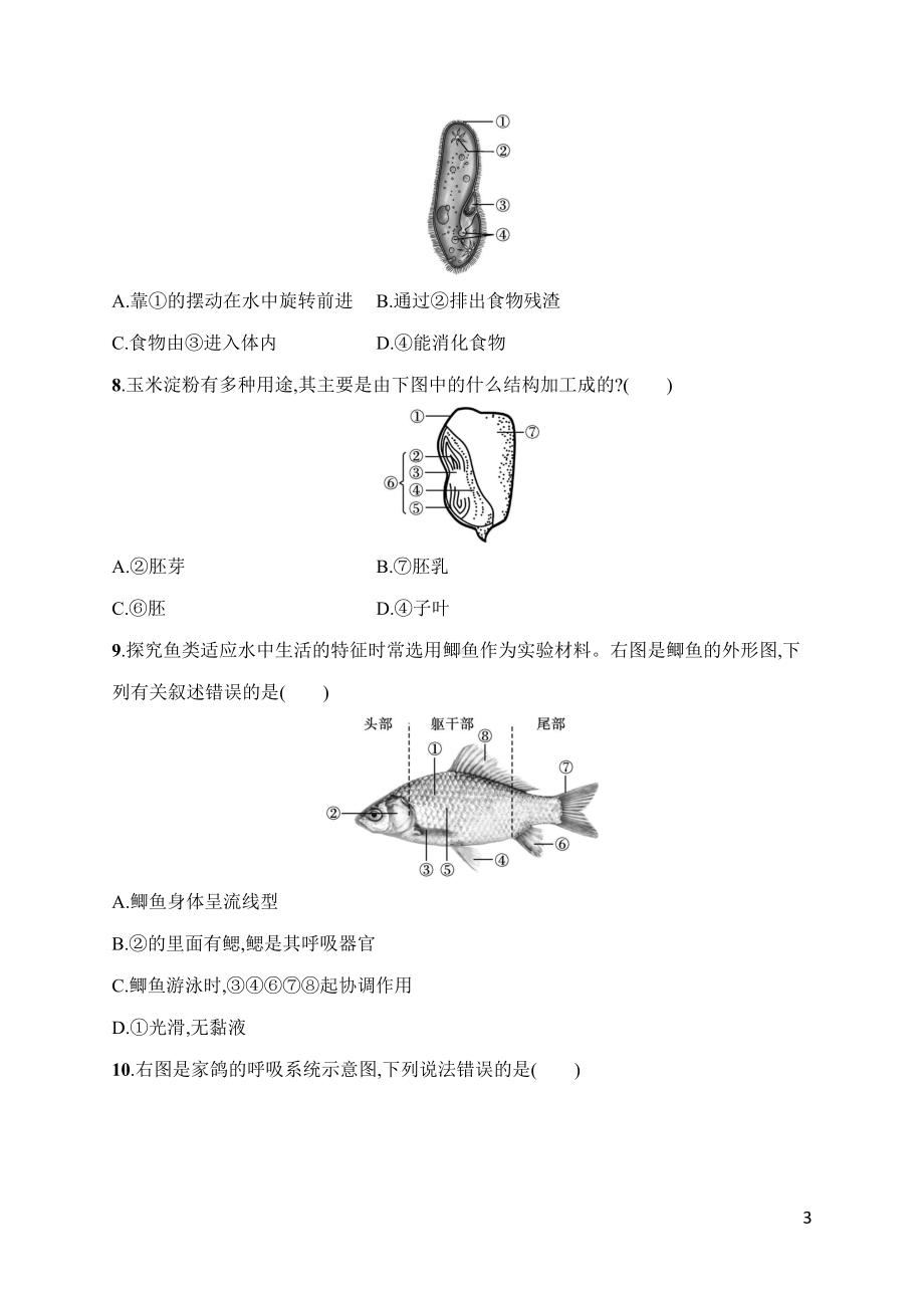 人教版（2024）生物七年级上册专项突破综合训练(一)　识图分析.docx_第3页