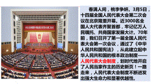 第五课 我国的根本政治制度 ppt课件-2025届高考政治一轮复习统编版必修三政治与法治 .pptx