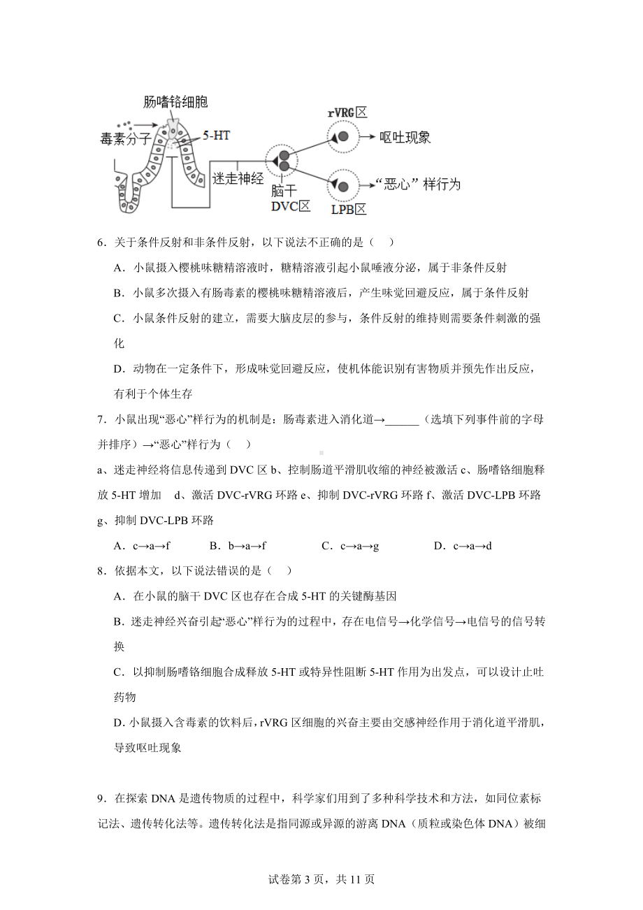 广西北海市博文高中2024-2025学年高三上学期第一次模拟考试生物试题.docx_第3页