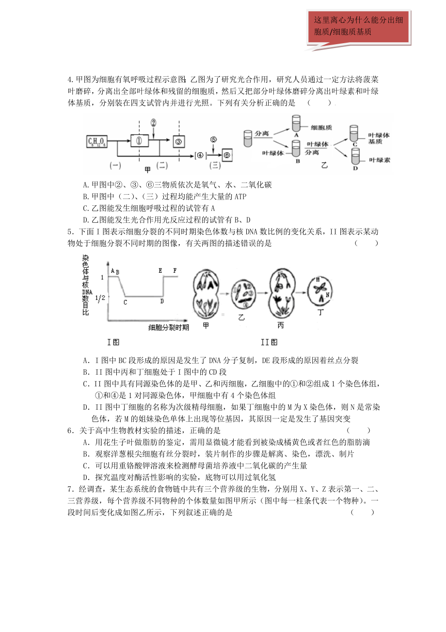 四川省成都石-室中学2013届高三“一诊模拟”考试理综试题.doc_第2页