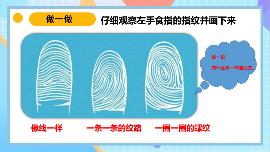 2.5+借助工具观察（ppt课件）-2024新苏教版一年级上册《科学》.pptx_第3页