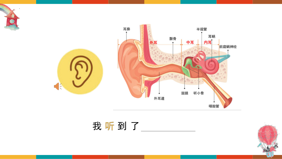 第2课 感官的秘密（ppt课件）-2024新苏少版一年级上册《美术》.pptx_第3页