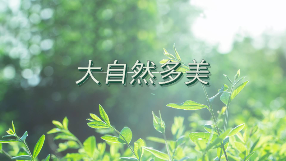 第1课+大自然多美（ppt课件）-2024新苏少版一年级上册《美术》.pptx_第2页