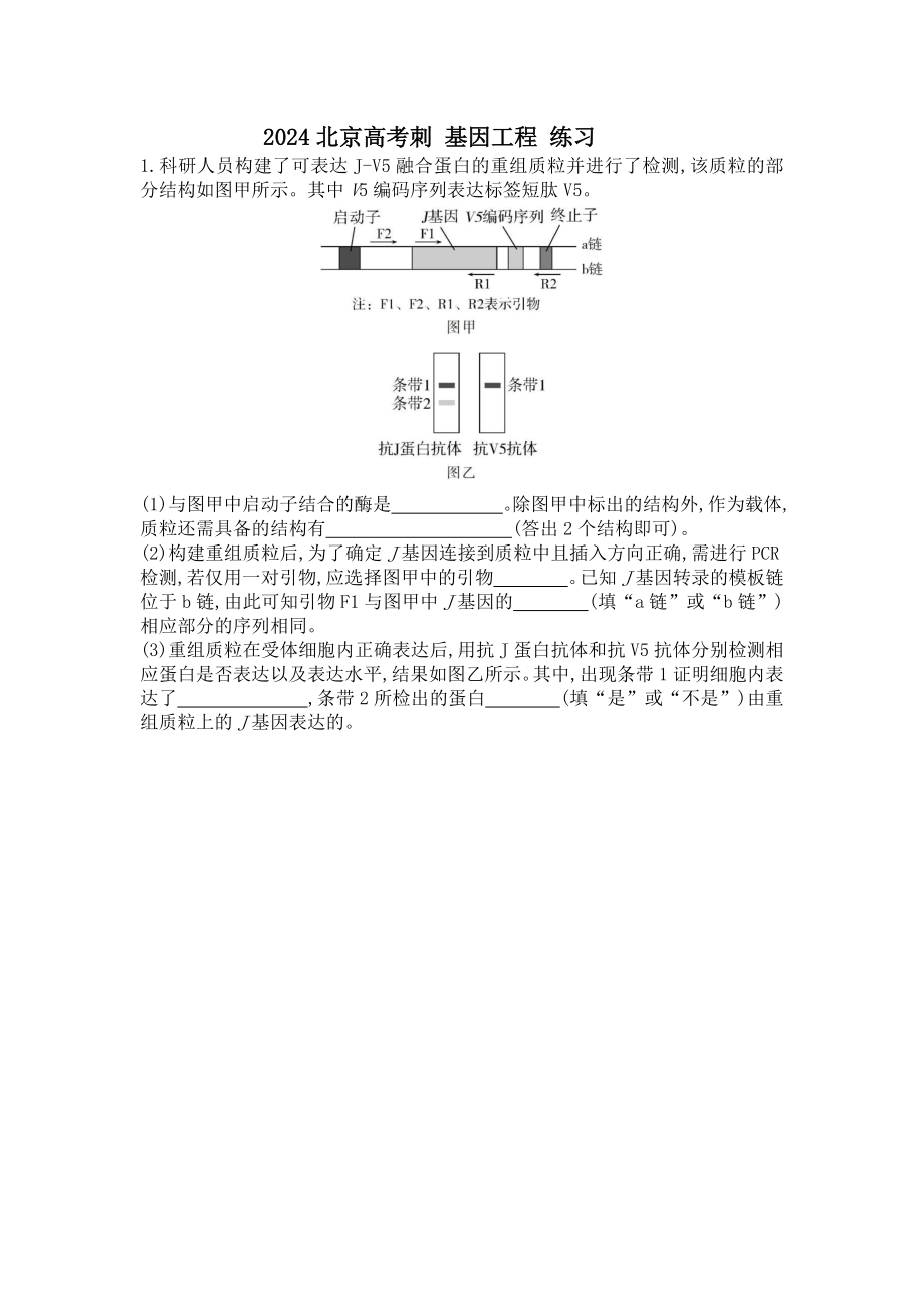 2024届北京高考生物复习基因工程练习题.docx_第1页