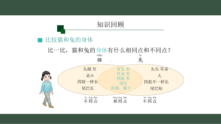 8.猫和兔（第2课时）ppt课件-2024新人教鄂教版一年级上册《科学》.pptx_第2页