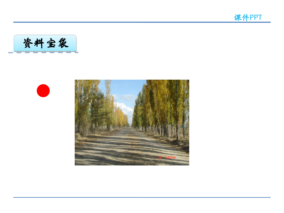 五年级上册语文课件-26白杨 北京版(共25张PPT).pptx_第3页