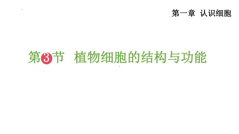 1.1.3植物细胞的结构与功能课件-2024-2025学年苏教版生物七年级上册.pptx_第2页