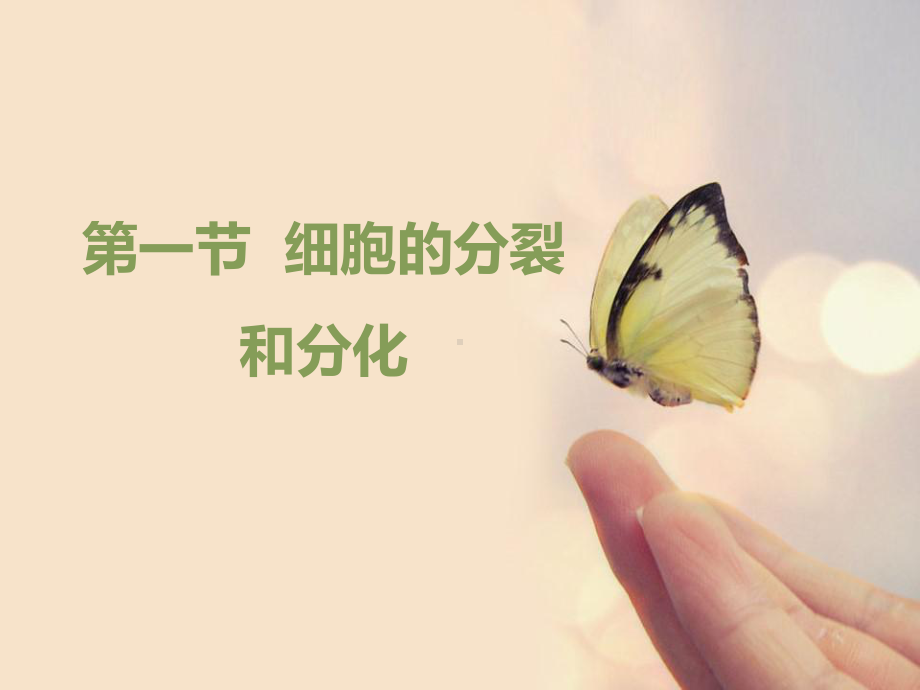 1.2.1细胞的分裂和分化课件--2024-2025学年苏教版生物七年级上册.pptx_第1页