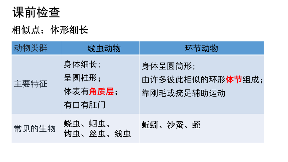 5.1.3软体动物和节肢动物课件-20242025学年人教版生物八年级上册.pptx_第1页