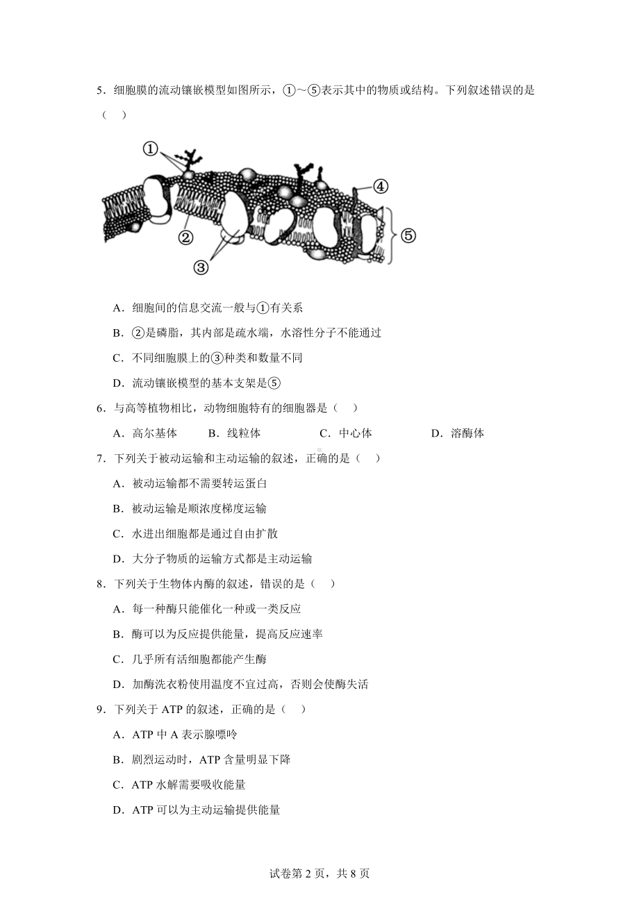 2024年山东省普通高中学业水平合格考试拉格考拉练(一)生物试题.docx_第2页