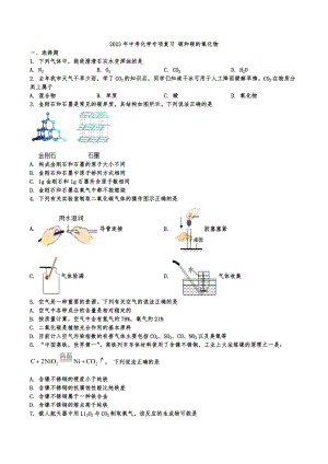 2023年中考化学专项复习 碳和碳的氧化物.docx