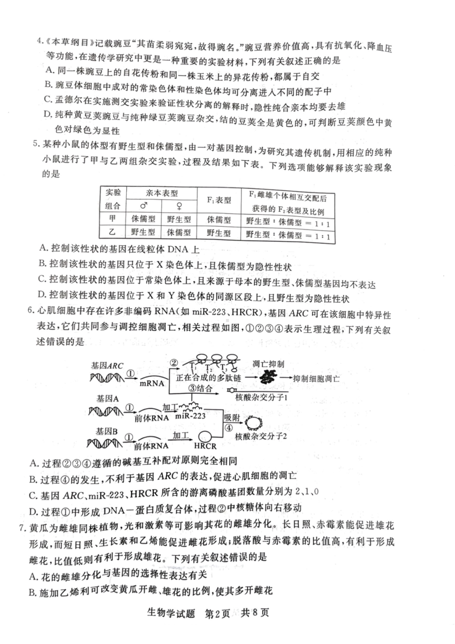 2024届八省八校高三第一次学业质量评价（T8联考）生物试题.pdf_第2页