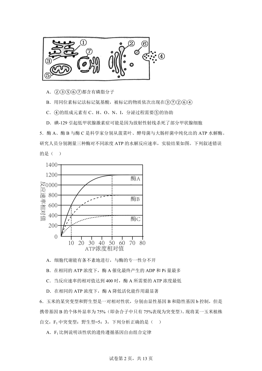 2024届吉林省吉林市高考四模生物试卷.docx_第2页