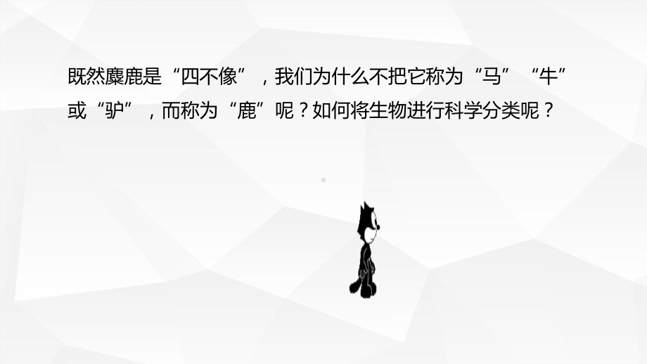 2.6.1 生物的分类依据和分类等级（课件）-（新教材）2024-2025学年七年级生物上学期同步课件+分层练（2024苏教版）.pptx_第3页