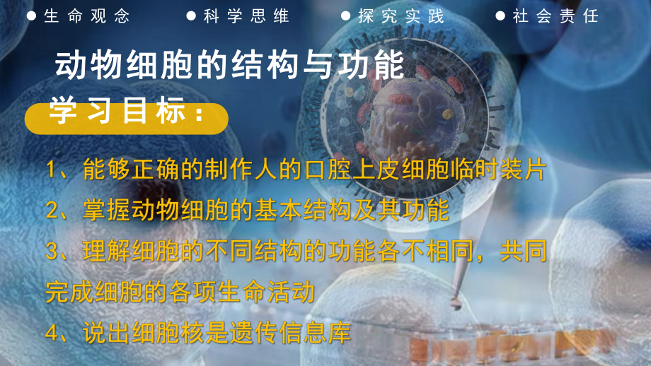 1.1.2动物细胞的结构与功能-实践教学课件苏教版生物七年级上册.pptx_第2页