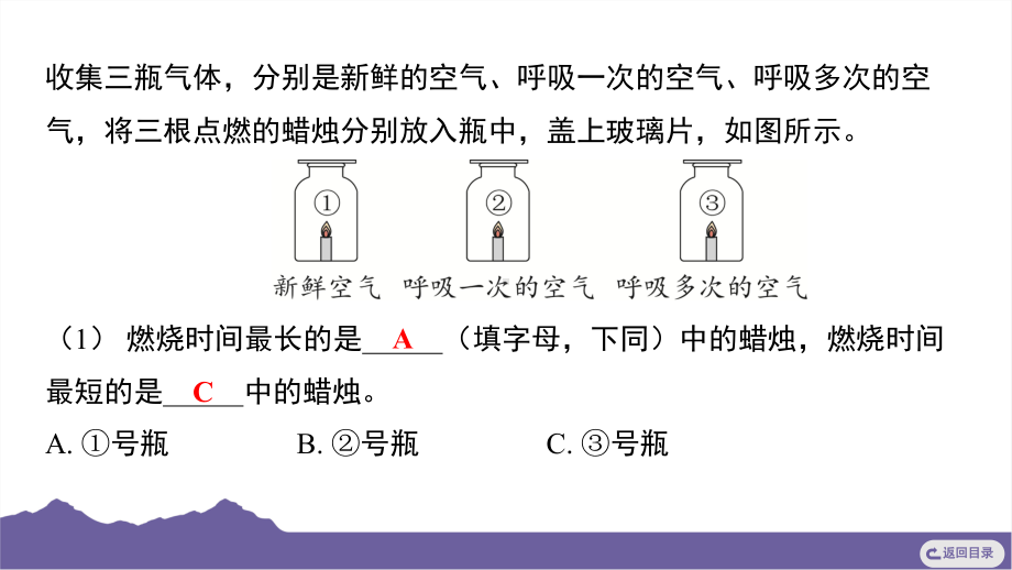 二　呼吸与消化整合过关课件-2024-2025学年度- 教科版科学四年级上册.pptx_第3页