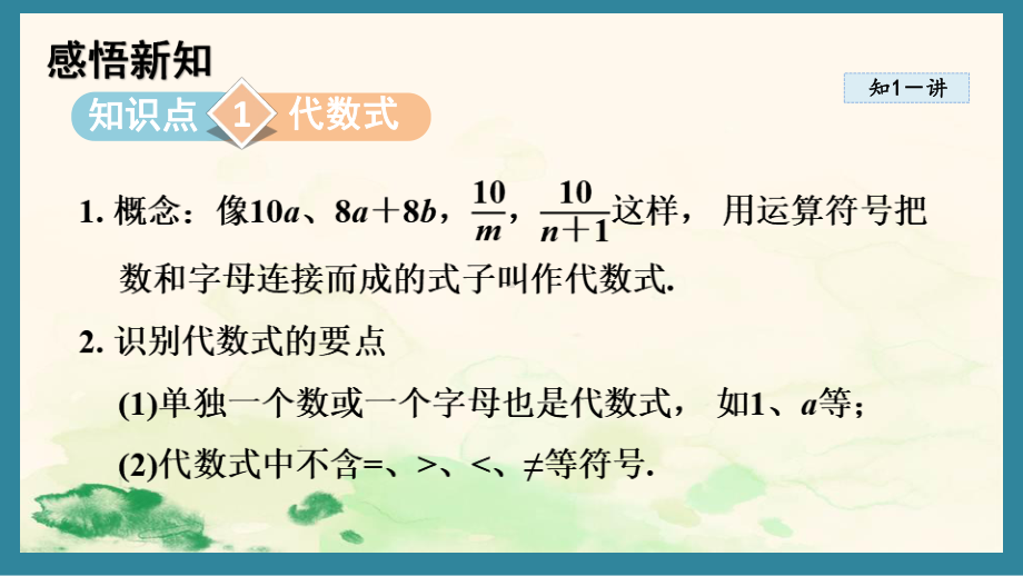 3.2 代数式 课件 2024-2025学年苏科版数学七年级上册.pptx_第2页