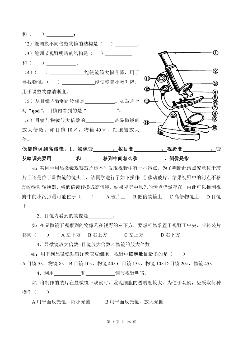 人教版（2024新版）七年级上册生物期末复习提纲填空版（无答案）.docx_第3页