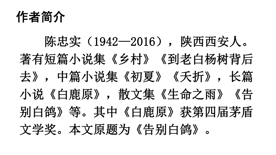 初中语文新人教部编版七年级上册第18课《我的白鸽》教学课件（2024秋）.pptx_第3页