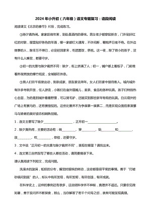 2024年小升初（六年级）语文专题复习：语段阅读 （含答案）.docx