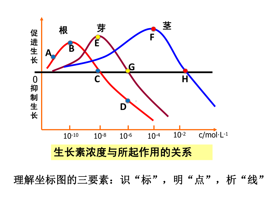 3.2生长素的生理作用 （共42张PPT）.pptx_第3页