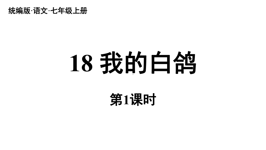 初中语文新人教部编版七年级上册第5单元 18《我的白鸽》课时1教学课件（2024秋）.pptx_第2页