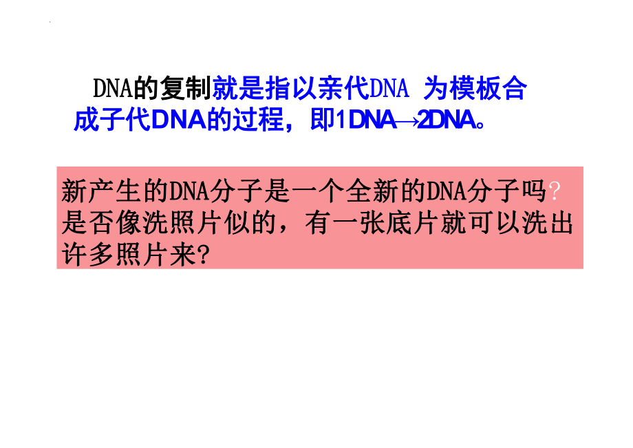 3.3 DNA的复制（教学课件）-2023-2024学年高一下学期生物人教版（2019）必修2.pptx_第3页