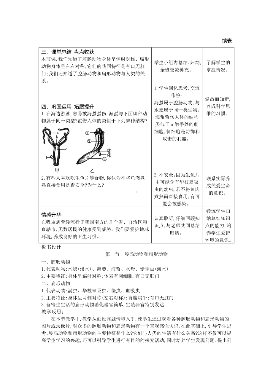 5.1.1　腔肠动物和扁形动物 教案-2023-2024学年人教版生物八年级上册.docx_第3页