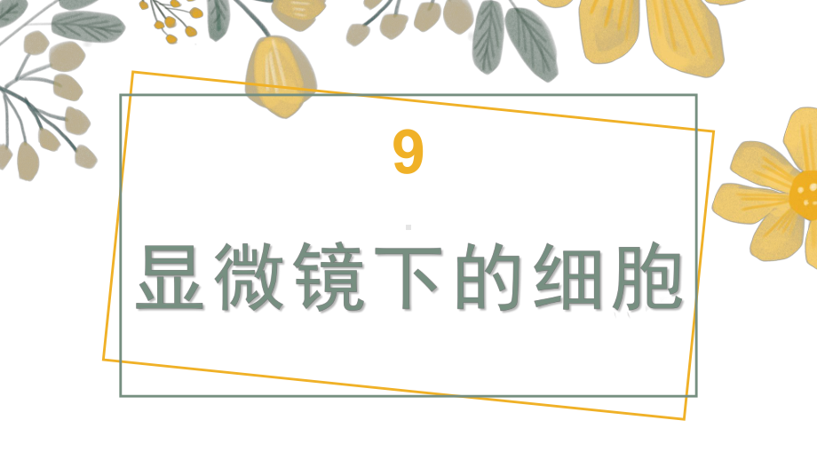 9 显微镜下的细胞（课件）-2024-2025学年科学五年级上册人教鄂教版.pptx_第1页