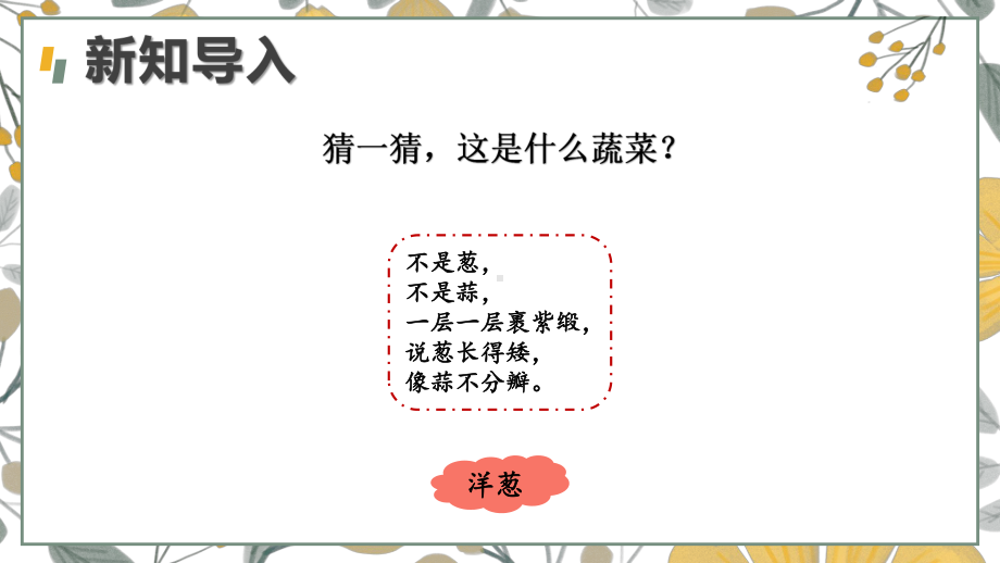 9 显微镜下的细胞（课件）-2024-2025学年科学五年级上册人教鄂教版.pptx_第2页