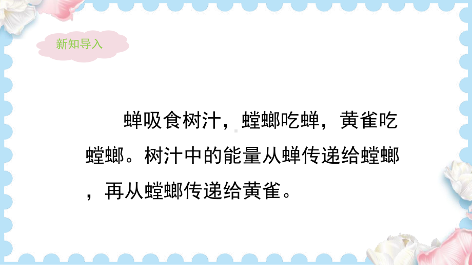 6食物链（课件）-2024-2025学年人教鄂教版科学六年级上册.pptx_第3页