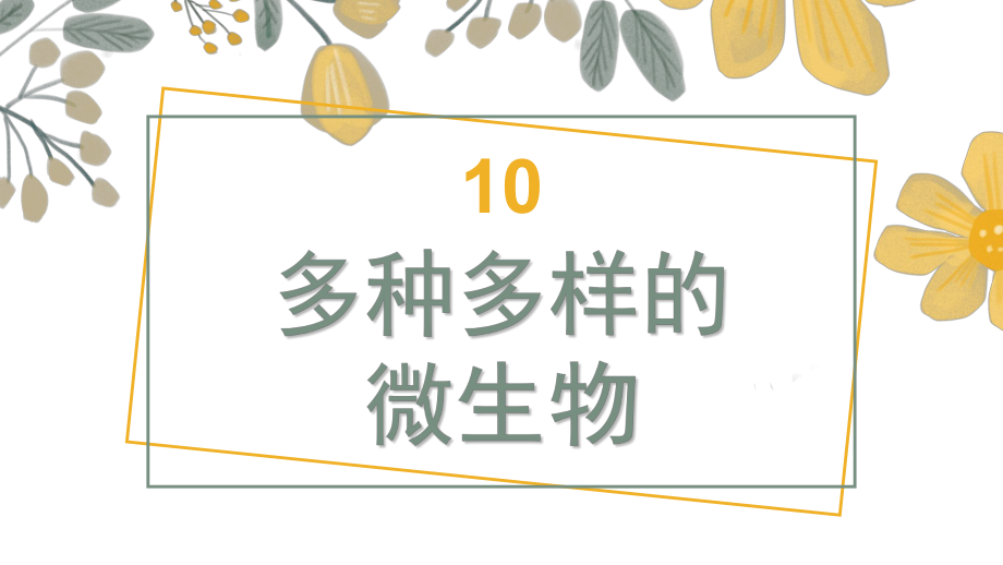 10 多种多样的微生物 （课件）-2024-2025学年科学五年级上册人教鄂教版.pptx_第1页