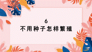 6 不用种子怎样繁殖（课件）人教鄂教版科学四年级上册.pptx