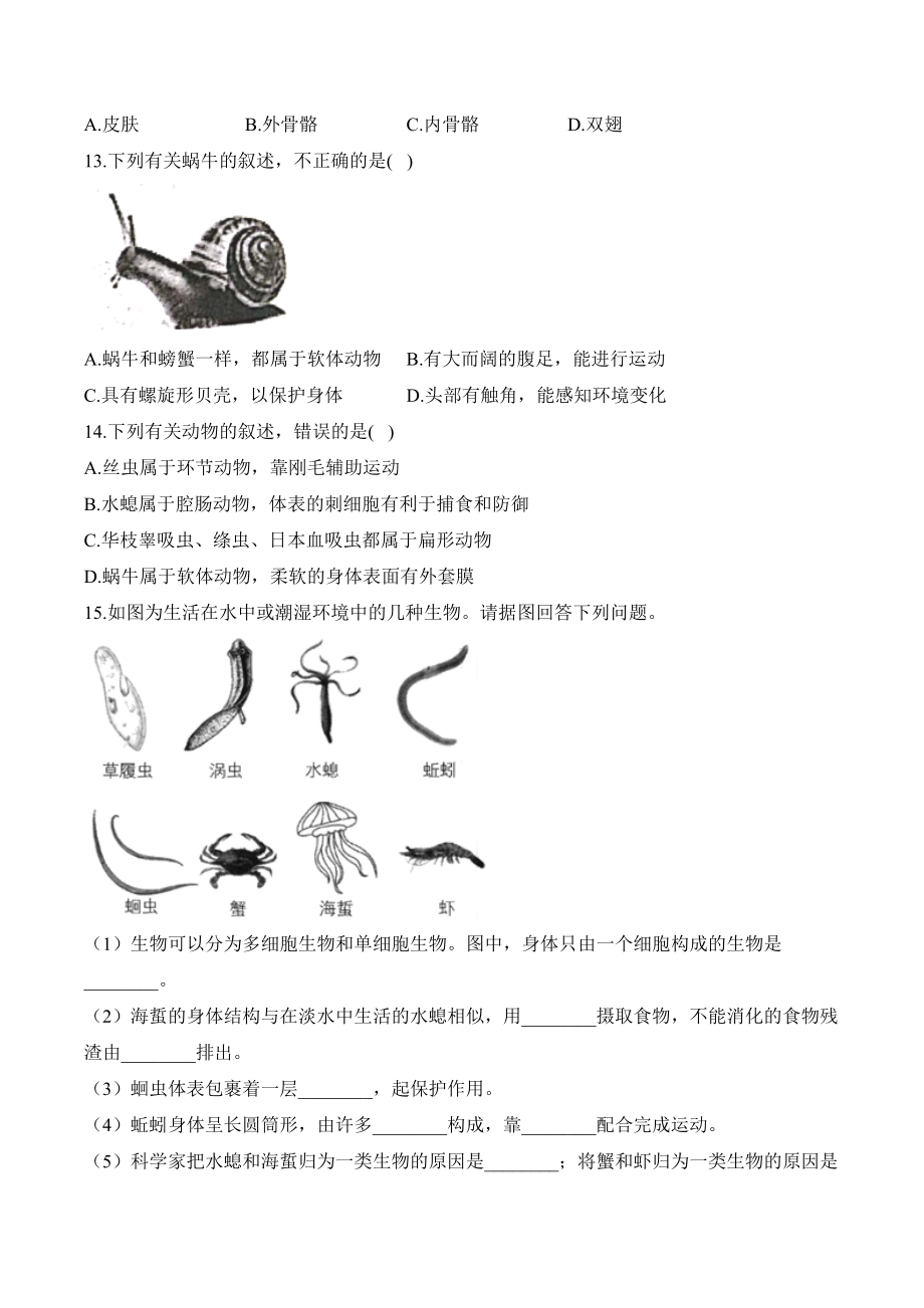 2.2.1无脊椎动物——课时优化训练（含解析）-2024新人教版七年级上册《生物》.docx_第3页