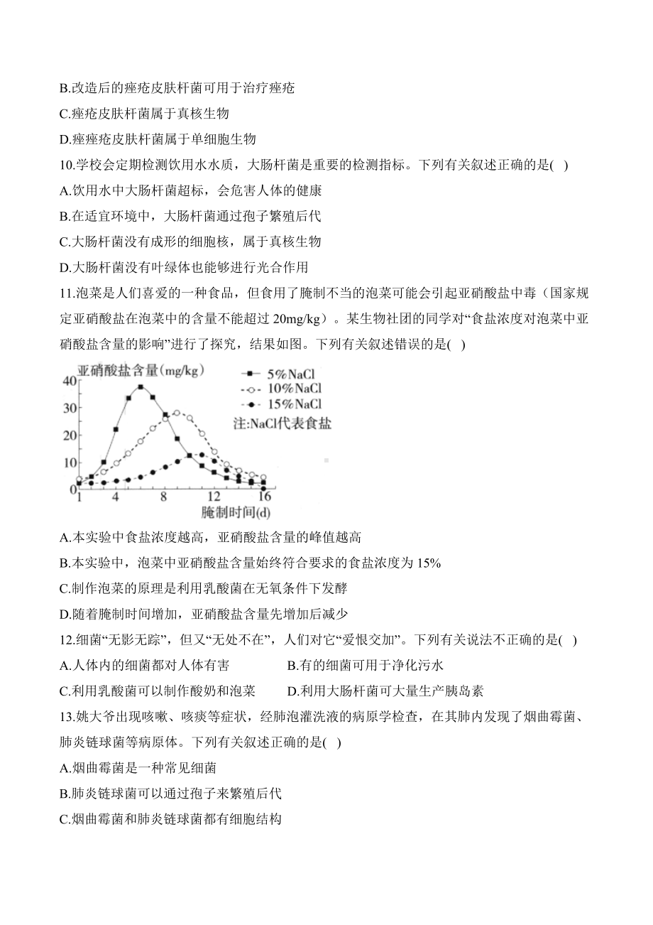 2.3.2细菌——课时优化训练（含解析）-2024新人教版七年级上册《生物》.docx_第3页