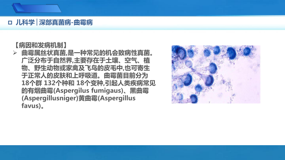 9.4.3深部真菌病曲霉病儿科学人卫版第10版教材PPT课件下载龙殿法第十版.pptx_第3页