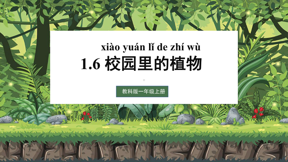 1.6 校园里的植物 优质ppt课件 -2024新教科版一年级上册《科学》.pptx_第1页