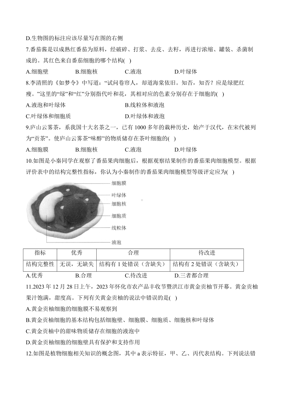 1.2.2植物细胞——课时优化训练（含答案）-2024新人教版七年级上册《生物》.docx_第2页