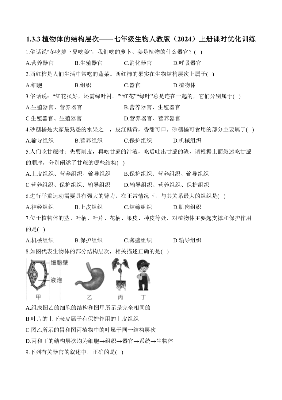 1.3.3植物体的结构层次——课时优化训练（含解析）-2024新人教版七年级上册《生物》.docx_第1页