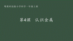 第4课 认识金属ppt课件-2024新粤教粤科版一年级上册《科学》.pptx