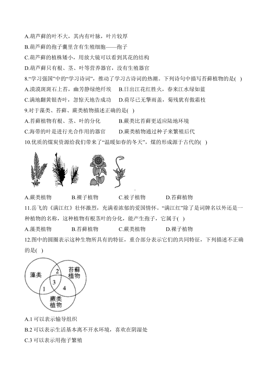 2.1.1藻类、苔藓和蕨类——课时优化训练（含答案）-2024新人教版七年级上册《生物》.docx_第2页