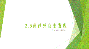 2.5通过感官来发现 ppt课件(共11张PPT+视频)-2024新教科版一年级上册《科学》.pptx