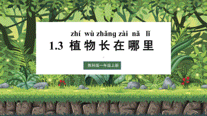 1.3 植物长在哪里 优质ppt课件 -2024新教科版一年级上册《科学》.pptx