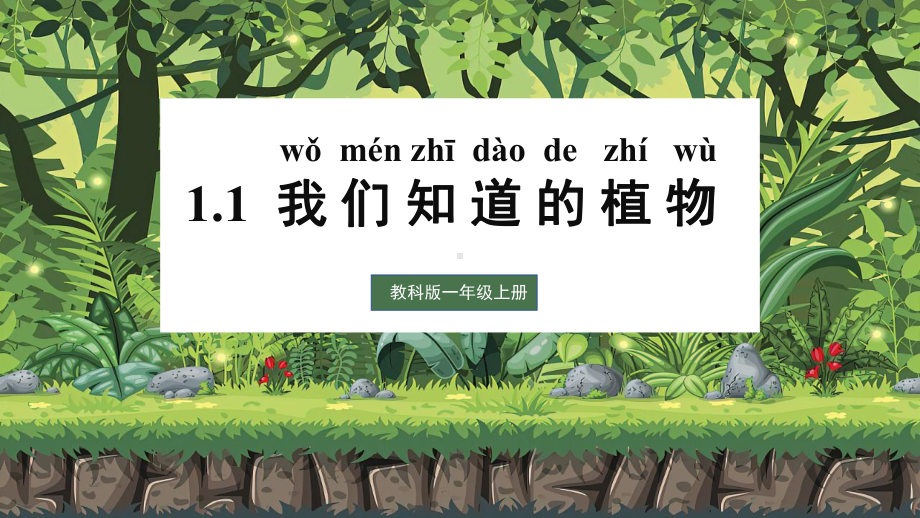 1.1我们知道的植物 ppt课件-2024新教科版一年级上册《科学》.pptx_第2页